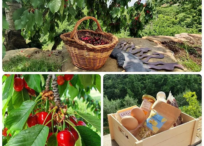 Διαμέρισμα Olivea