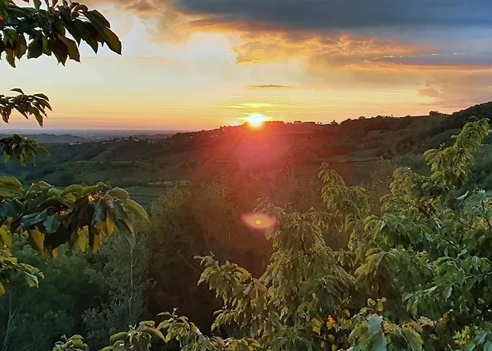 Διαμέρισμα Olivea